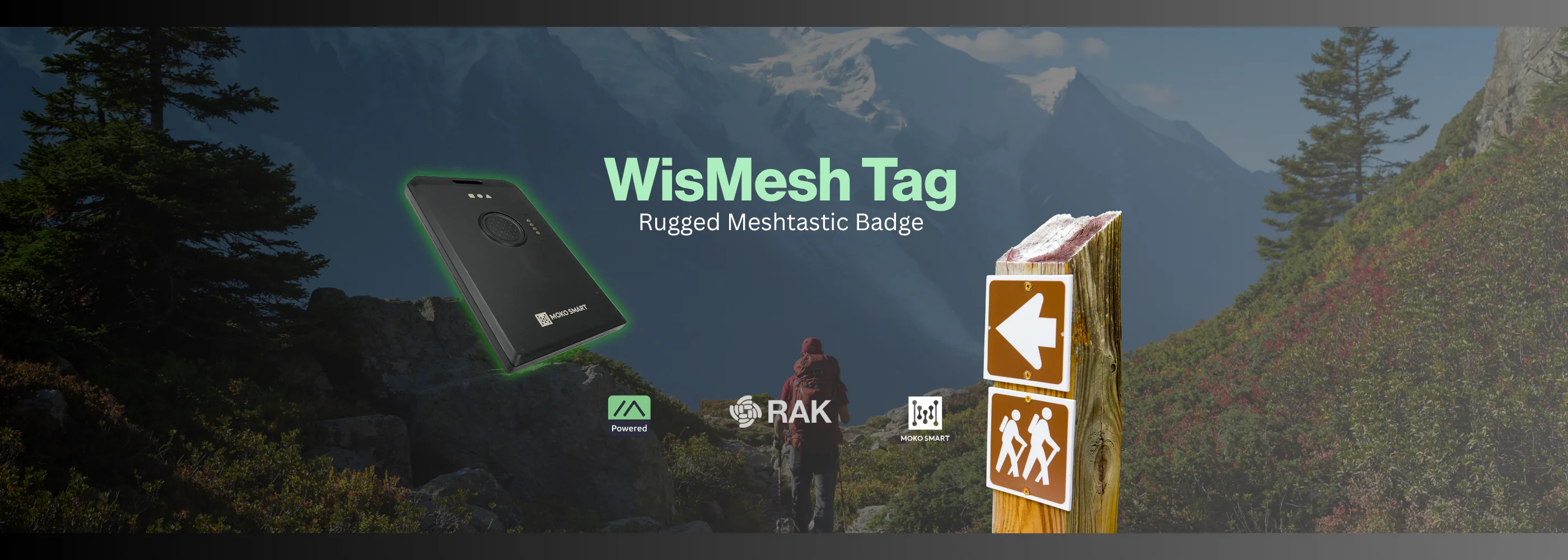 Master Your Wireless Connectivity
